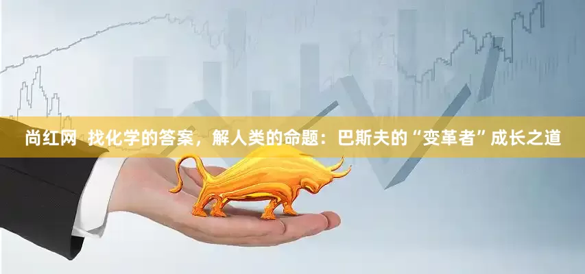 尚红网  找化学的答案，解人类的命题：巴斯夫的“变革者”成长之道