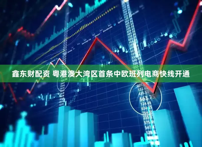 鑫东财配资 粤港澳大湾区首条中欧班列电商快线开通