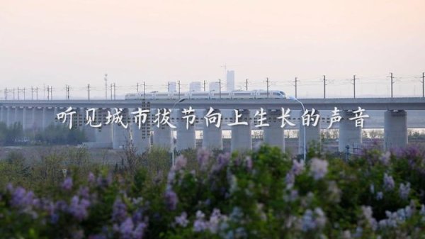 领航优配 听见威海丨倾听来自威海的“声动人心”