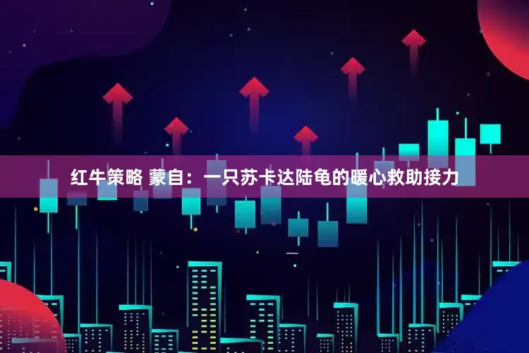 红牛策略 蒙自：一只苏卡达陆龟的暖心救助接力