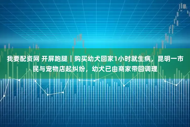 我要配资网 开屏跑腿｜购买幼犬回家1小时就生病，昆明一市民与宠物店起纠纷，幼犬已由商家带回调理